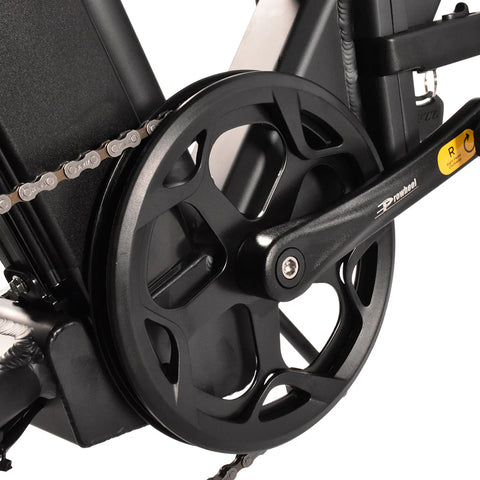 K201 3.0 250W 40Nm Large Capacity Compact E-bike 20*3.0 Tire