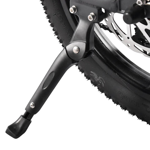 K201 3.0 250W 40Nm Large Capacity Compact E-bike 20*3.0 Tire