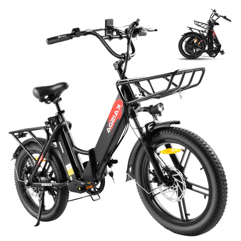K201 3.0 250W 40Nm Large Capacity Compact E-bike 20*3.0 Tire