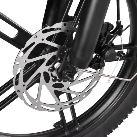 K201 3.0 250W 40Nm Large Capacity Compact E-bike 20*3.0 Tire