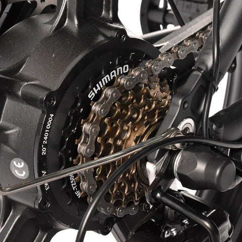 K201 3.0 250W 40Nm Large Capacity Compact E-bike 20*3.0 Tire