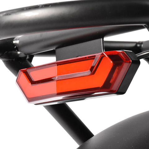 K201 3.0 250W 40Nm Large Capacity Compact E-bike 20*3.0 Tire